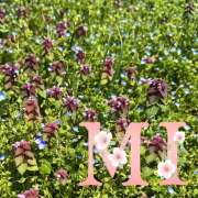 ヒメ日記 2025/04/19 19:01 投稿 大西 みさき CASA BIANCA（カーサ・ビアンカ）