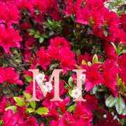 ヒメ日記 2025/04/21 18:41 投稿 大西 みさき CASA BIANCA（カーサ・ビアンカ）