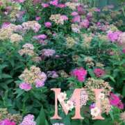 ヒメ日記 2025/04/28 11:15 投稿 大西 みさき CASA BIANCA（カーサ・ビアンカ）