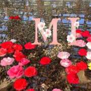 ヒメ日記 2025/05/01 19:02 投稿 大西 みさき CASA BIANCA（カーサ・ビアンカ）