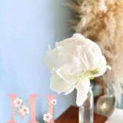 ヒメ日記 2025/06/08 18:30 投稿 大西 みさき CASA BIANCA（カーサ・ビアンカ）