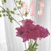 ヒメ日記 2025/06/11 20:30 投稿 大西 みさき CASA BIANCA（カーサ・ビアンカ）