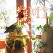 ヒメ日記 2025/06/20 08:28 投稿 大西 みさき CASA BIANCA（カーサ・ビアンカ）