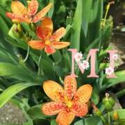 ヒメ日記 2025/06/22 11:15 投稿 大西 みさき CASA BIANCA（カーサ・ビアンカ）