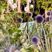 ヒメ日記 2025/07/18 11:12 投稿 大西 みさき CASA BIANCA（カーサ・ビアンカ）