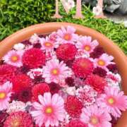 ヒメ日記 2025/11/17 11:06 投稿 大西 みさき CASA BIANCA（カーサ・ビアンカ）