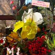 ヒメ日記 2026/01/01 11:19 投稿 大西 みさき CASA BIANCA（カーサ・ビアンカ）