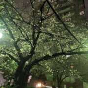 ヒメ日記 2025/03/27 19:52 投稿 なみ 熟女の風俗最終章 新宿店