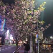 ヒメ日記 2025/04/21 20:44 投稿 なみ 熟女の風俗最終章 新宿店