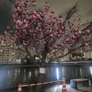 ヒメ日記 2025/04/24 20:34 投稿 なみ 熟女の風俗最終章 新宿店