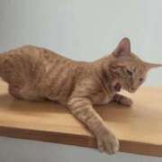 ヒメ日記 2025/10/11 18:32 投稿 なみ 熟女の風俗最終章 新宿店