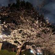 ヒメ日記 2025/03/31 00:39 投稿 なみ 熟女の風俗最終章 池袋店