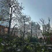 ヒメ日記 2025/04/03 20:27 投稿 なみ 熟女の風俗最終章 池袋店