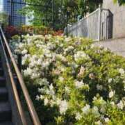 ヒメ日記 2025/04/30 20:42 投稿 なみ 熟女の風俗最終章 池袋店