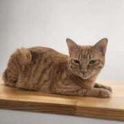 ヒメ日記 2025/10/02 19:52 投稿 なみ 熟女の風俗最終章 池袋店