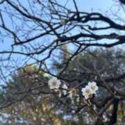 ヒメ日記 2026/04/02 20:23 投稿 うた とある風俗店♡やりすぎさーくる新宿大久保店♡で色んな無料オプションしてみました