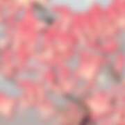 ヒメ日記 2025/08/06 12:06 投稿 みな 池袋デリヘル倶楽部