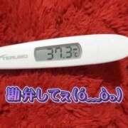 ヒメ日記 2025/11/24 00:10 投稿 みな 池袋デリヘル倶楽部