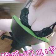 ヒメ日記 2026/02/12 16:19 投稿 みな 池袋デリヘル倶楽部