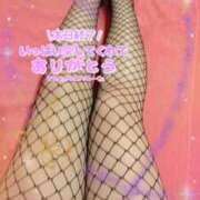 ヒメ日記 2025/04/05 05:21 投稿 ねる 野田デリヘル若妻淫乱倶楽部