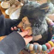 ヒメ日記 2025/05/24 15:36 投稿 せな 体感サロン マチルダとベロニカ