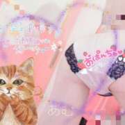 ヒメ日記 2025/01/23 19:06 投稿 あむ マリン千姫