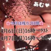 ヒメ日記 2025/04/06 08:36 投稿 あむ マリン千姫