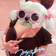 ヒメ日記 2025/11/06 20:52 投稿 あむ マリン千姫