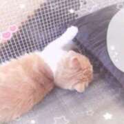 ヒメ日記 2025/12/02 18:27 投稿 あむ マリン千姫