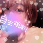 ヒメ日記 2024/12/13 21:15 投稿 ハルヒ secretgirl大阪