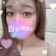 ヒメ日記 2024/12/25 03:05 投稿 ハルヒ secretgirl大阪