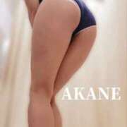 ヒメ日記 2024/12/09 09:20 投稿 あかね 梅田人妻秘密倶楽部