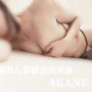 ヒメ日記 2024/12/10 09:15 投稿 あかね 梅田人妻秘密倶楽部