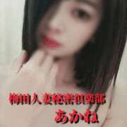 ヒメ日記 2024/12/12 12:35 投稿 あかね 梅田人妻秘密倶楽部