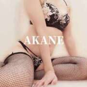 ヒメ日記 2024/12/13 08:35 投稿 あかね 梅田人妻秘密倶楽部