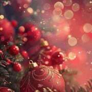 ヒメ日記 2024/12/14 16:50 投稿 あかね 梅田人妻秘密倶楽部