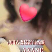 ヒメ日記 2025/02/07 12:05 投稿 あかね 梅田人妻秘密倶楽部