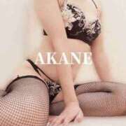 ヒメ日記 2025/03/10 09:15 投稿 あかね 梅田人妻秘密倶楽部