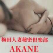ヒメ日記 2025/04/21 09:25 投稿 あかね 梅田人妻秘密倶楽部