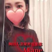 ヒメ日記 2025/08/05 19:10 投稿 あかね 梅田人妻秘密倶楽部