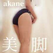 ヒメ日記 2025/08/11 13:10 投稿 あかね 梅田人妻秘密倶楽部