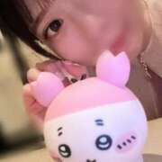 ヒメ日記 2025/03/15 10:33 投稿 かすみ スチュワーデス