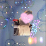 ヒメ日記 2024/12/15 10:48 投稿 あむ 神田ハンドメイド