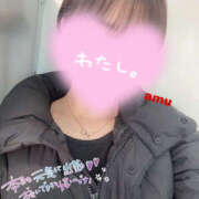 ヒメ日記 2024/12/20 13:02 投稿 あむ 神田ハンドメイド