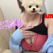 ヒメ日記 2025/03/26 18:22 投稿 あむ 神田ハンドメイド