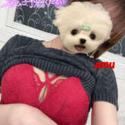 ヒメ日記 2025/03/28 20:48 投稿 あむ 神田ハンドメイド