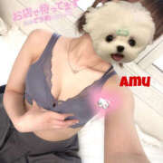 ヒメ日記 2025/03/30 13:43 投稿 あむ 神田ハンドメイド