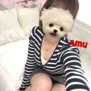 ヒメ日記 2025/03/31 18:30 投稿 あむ 神田ハンドメイド