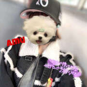 ヒメ日記 2025/04/04 14:36 投稿 あむ 神田ハンドメイド