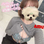 ヒメ日記 2025/04/04 18:19 投稿 あむ 神田ハンドメイド